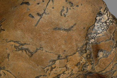 eozäner Ton mit Eisenausfällungen, Detail