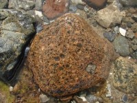 Åland-Granitporphyr